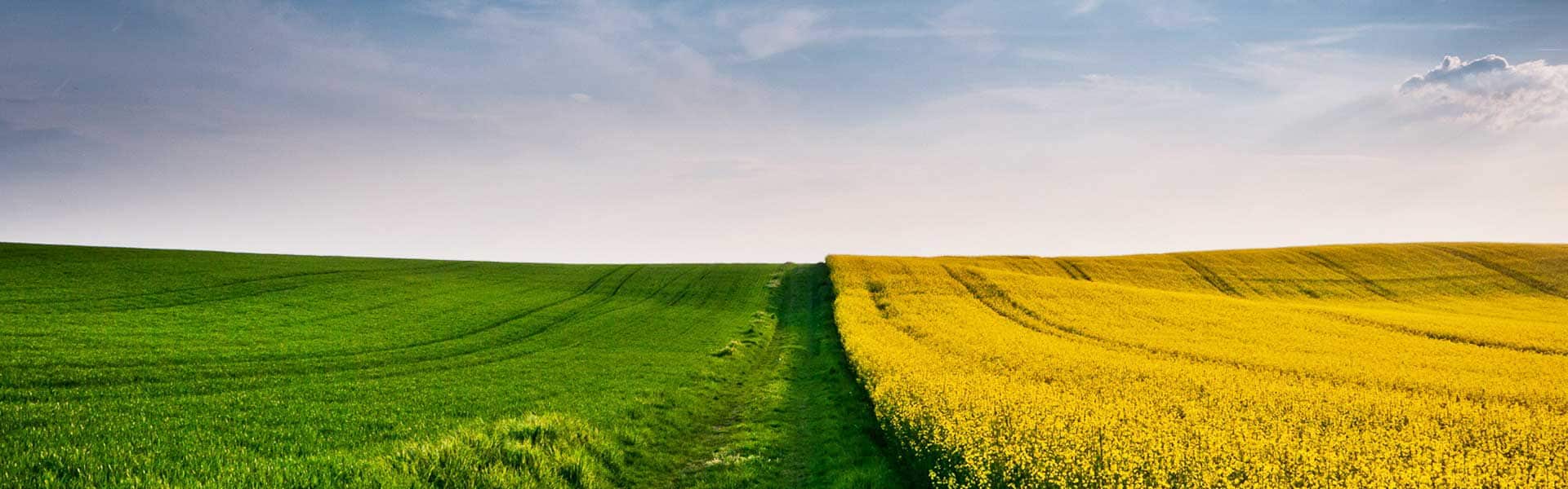 Cornagra Zamość - materiał siewny, nasiona, środki ochrony roślin, nawozy, narzędzia ogrodnicze